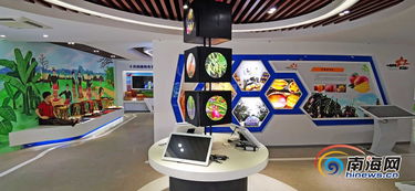 昌江互聯(lián)網(wǎng)農(nóng)業(yè)小鎮(zhèn) 借電商快車(chē)，力促農(nóng)產(chǎn)品銷(xiāo)售